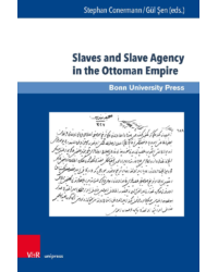 Slavery is Not Salavery: On Slaves and Slave Agency in the Ottoman Empire, Introduction